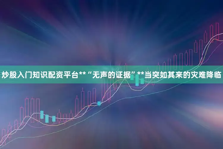 炒股入门知识配资平台**“无声的证据”**当突如其来的灾难降临